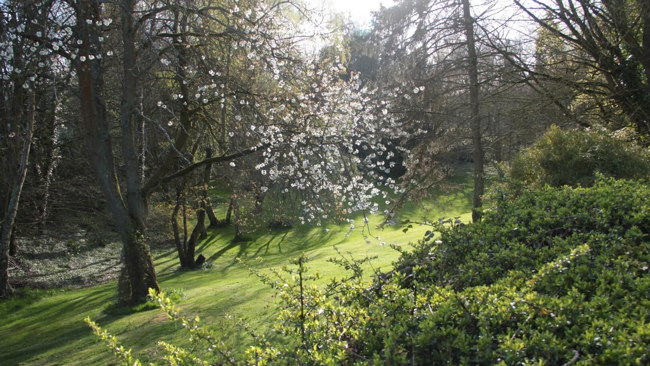 Photo of Outdoor in Les Grandes-Ventes