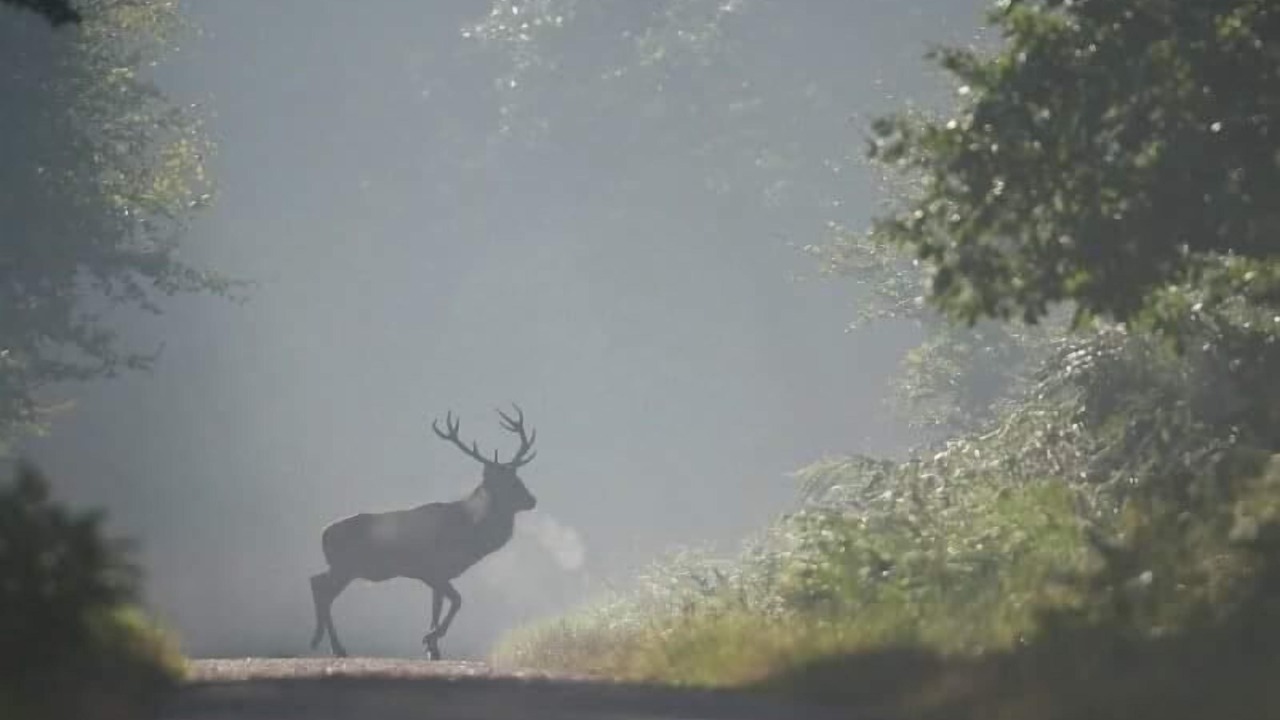 Photo of Others in Les Grandes-Ventes
