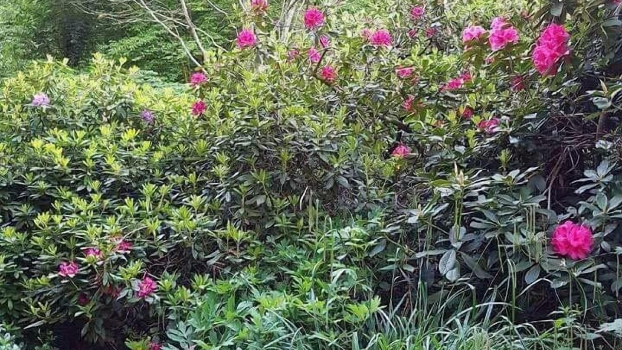 Photo of Outdoor in Les Grandes-Ventes