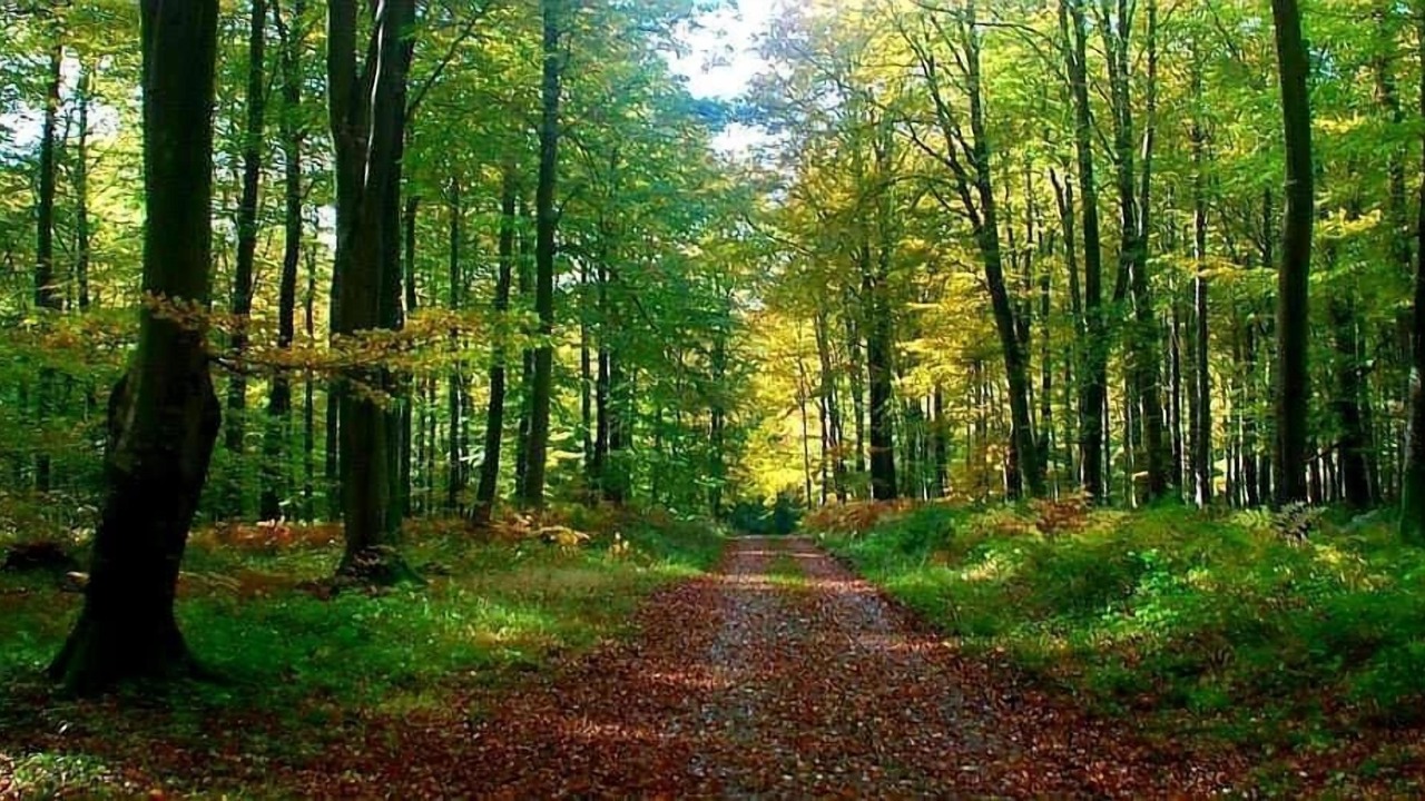 Photo of Others in Les Grandes-Ventes