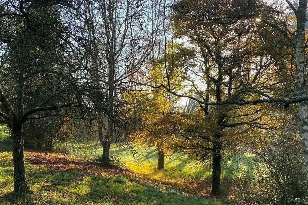 Photo of Others in Les Grandes-Ventes