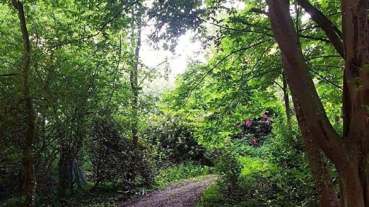 Photo of Others in Les Grandes-Ventes