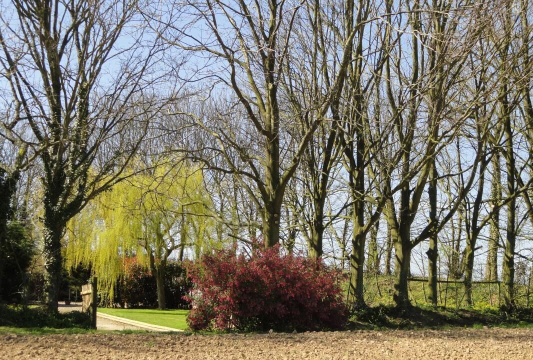Photo of Others in Saint-Sauveur-d'Emalleville
