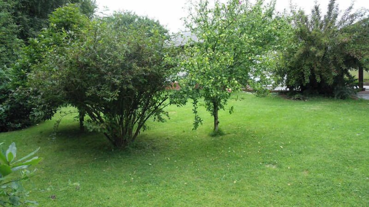 Photo of Outdoor in Touffreville-la-Corbeline