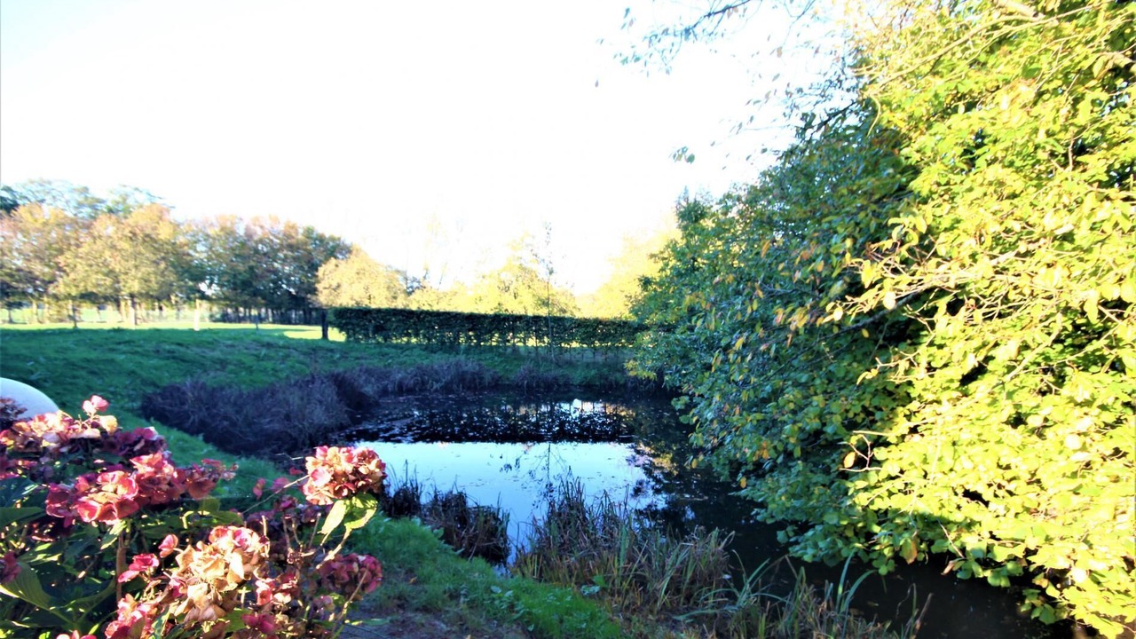 Photo of Outdoor in Benarville