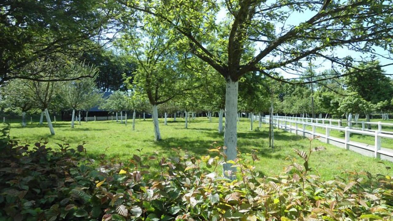 Photo of Outdoor in Octeville-sur-Mer