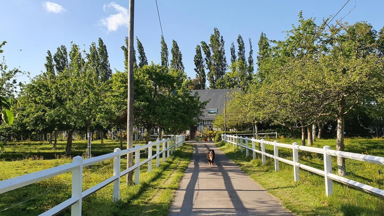 Photo of Others in Octeville-sur-Mer