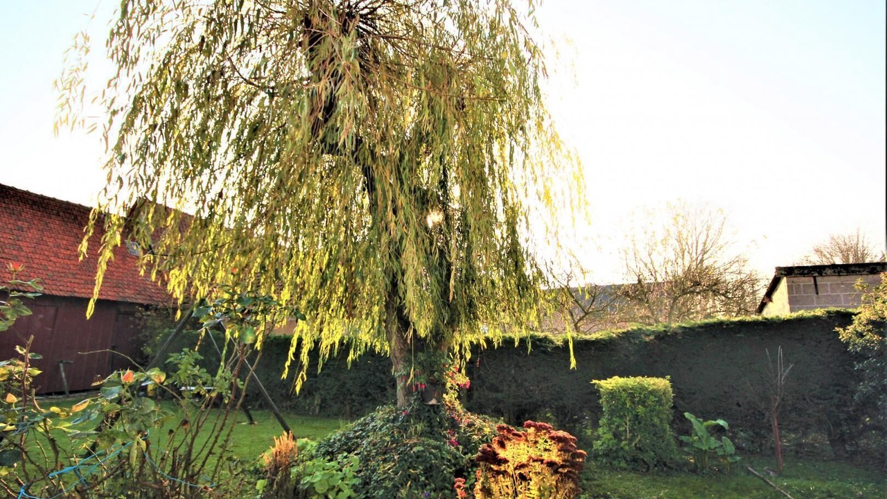 Photo of Outdoor in Assigny