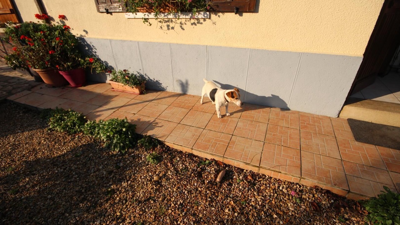 Photo of Outdoor in Assigny