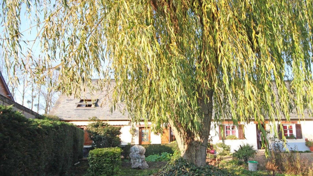 Photo of Outdoor in Assigny