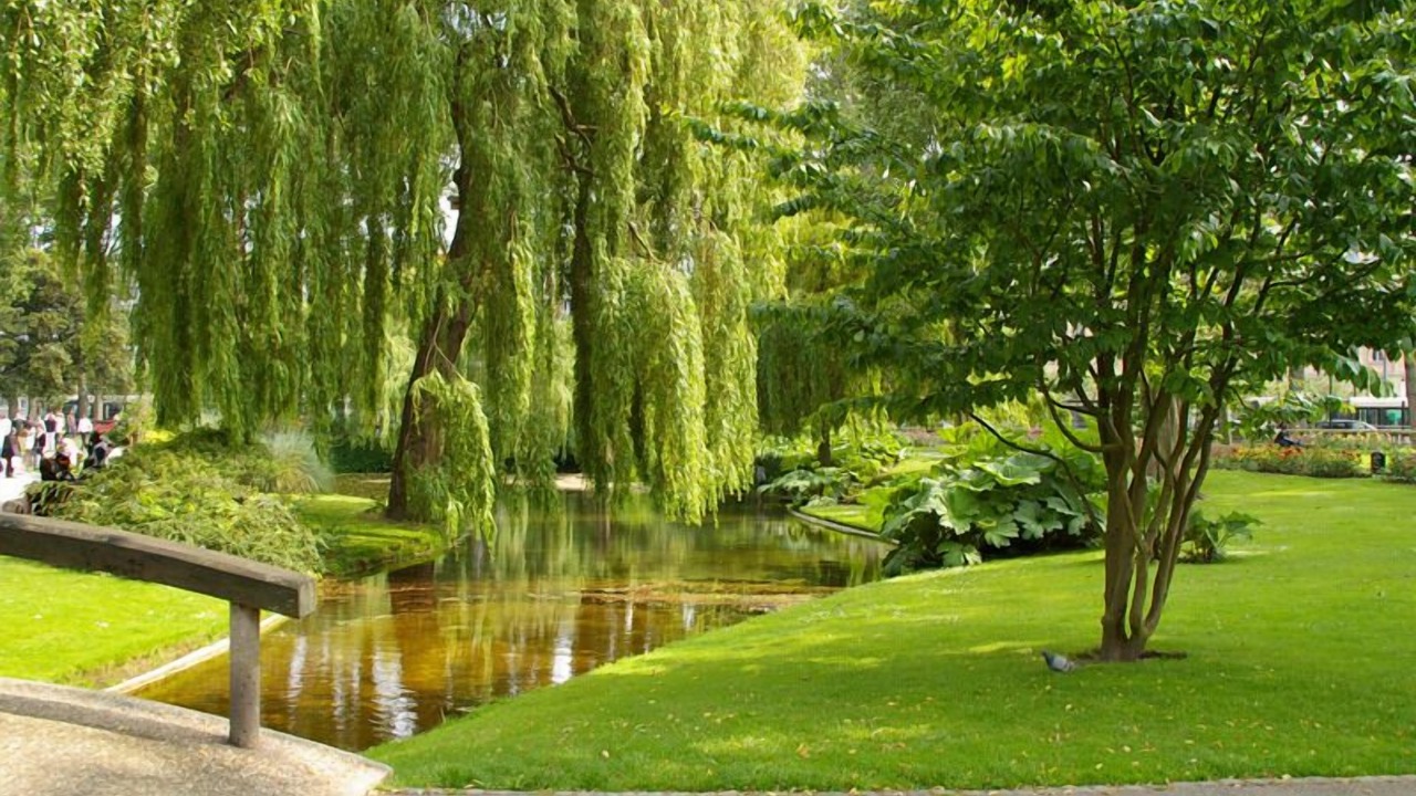 Photo of Outdoor in Saint-Christophe de la Foret