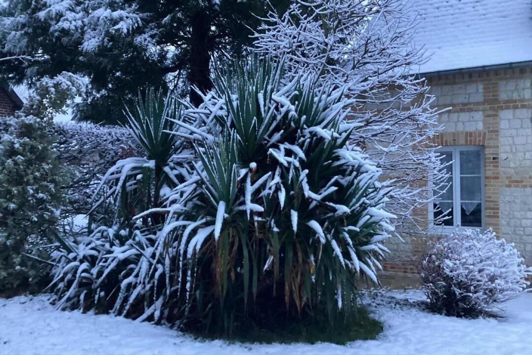 Photo of Outdoor in La Mailleraye-sur-Seine