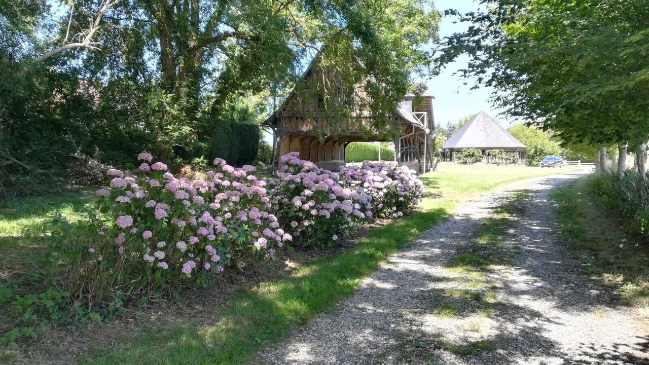 Photo of Outdoor in Gonneville-sur-Scie