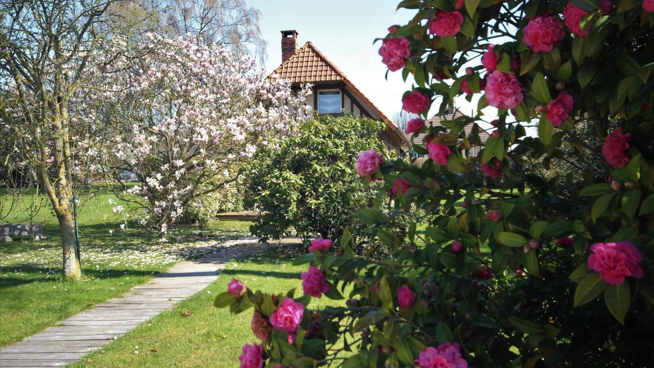 Photo of Outdoor in Avremesnil