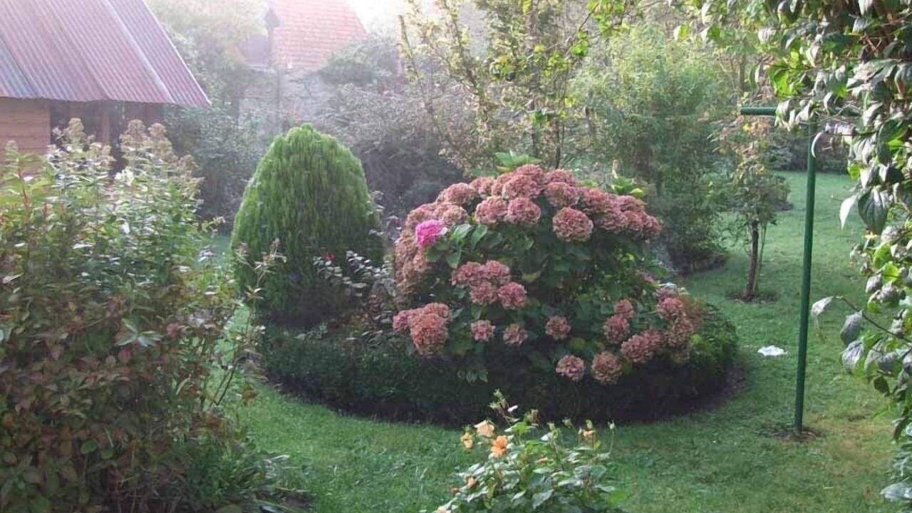 Photo of Outdoor in Sotteville-sur-Mer