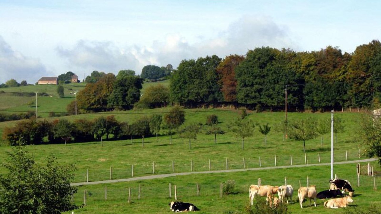 Photo of Others in Roncherolles-en-Bray