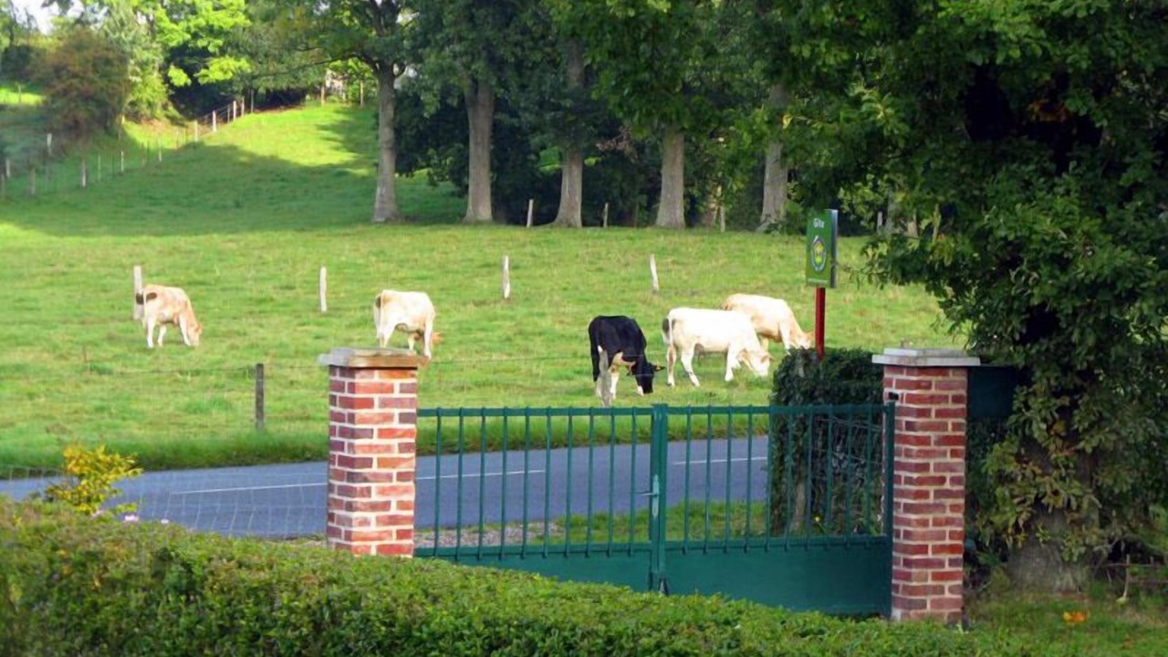 Photo of Others in Roncherolles-en-Bray
