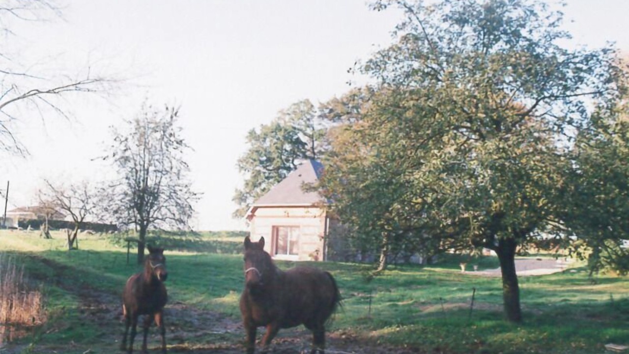 Photo of Others in Criquetot-lʼEsneval