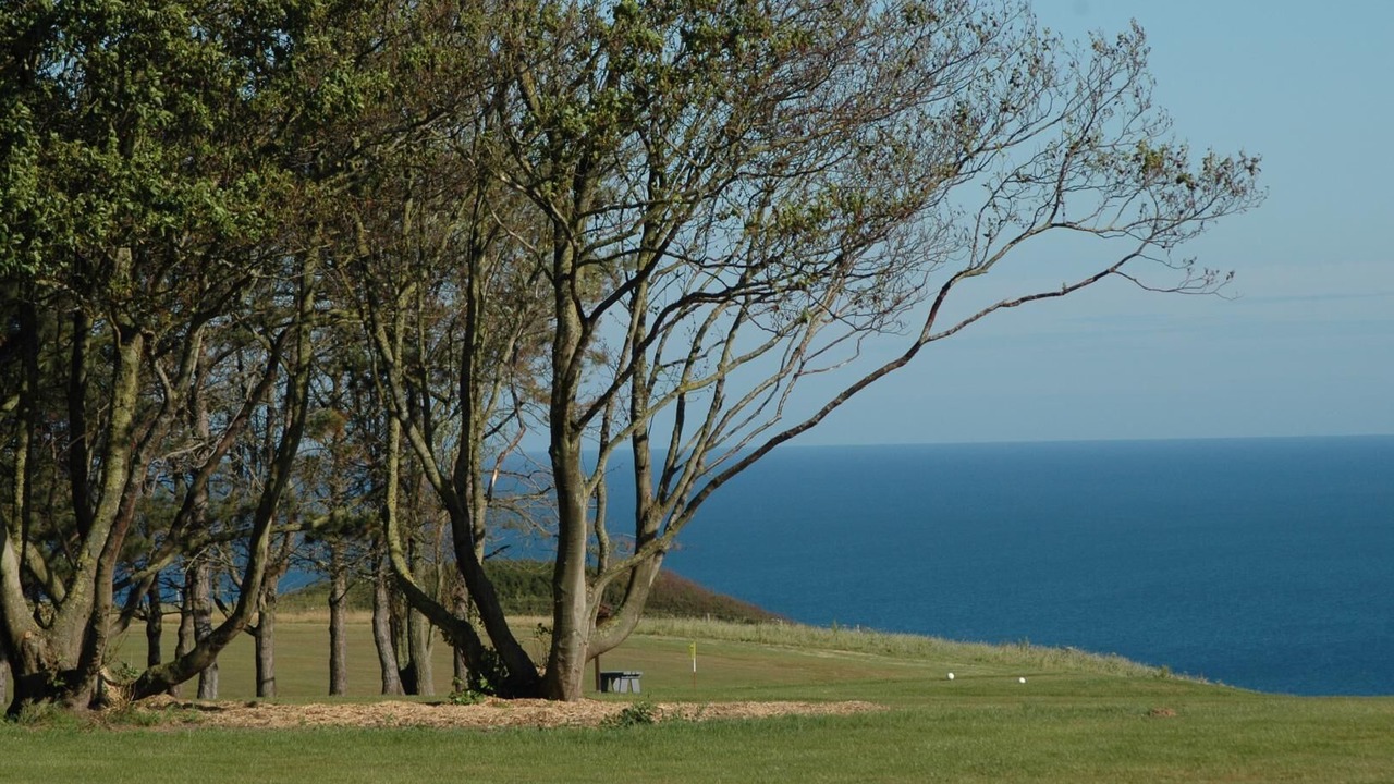 Photo of Others in La Poterie-Cap-d'Antifer