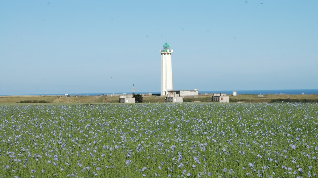 Photo of Others in La Poterie-Cap-d'Antifer
