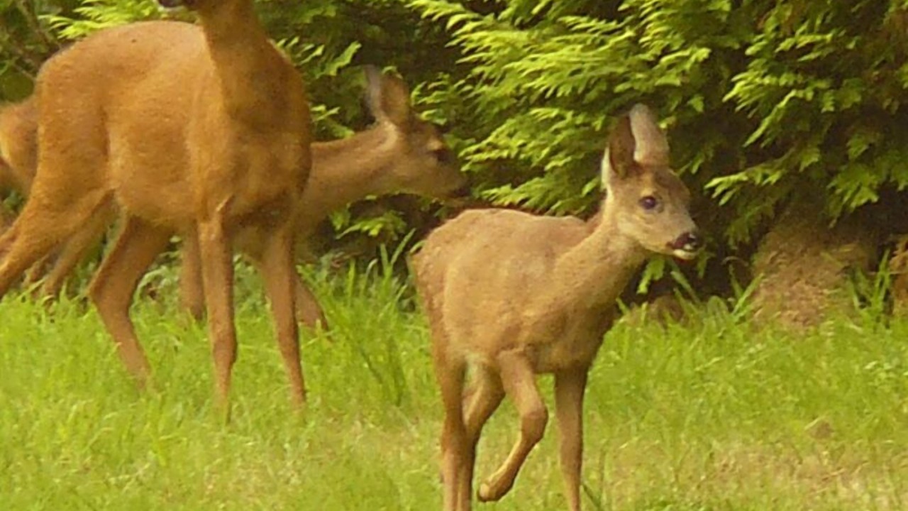 Photo of Others in Varneville-Bretteville