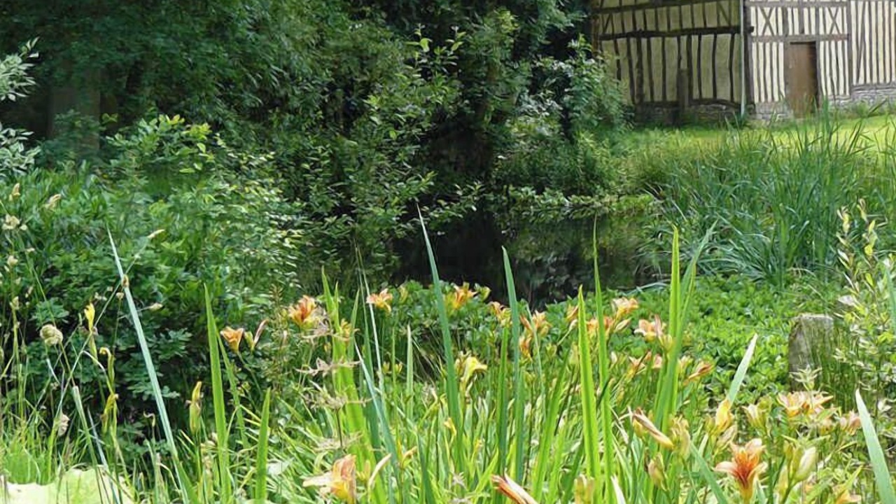 Photo of Outdoor in Varneville-Bretteville