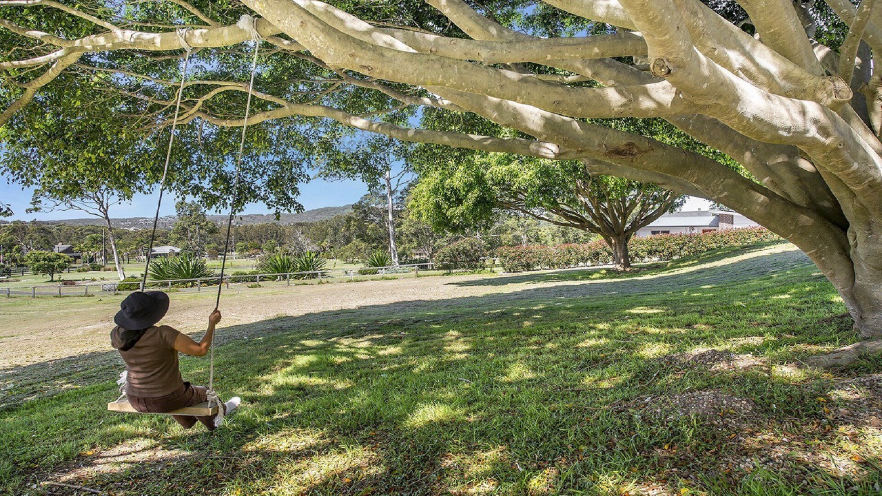 Photo of Others in Wamberal