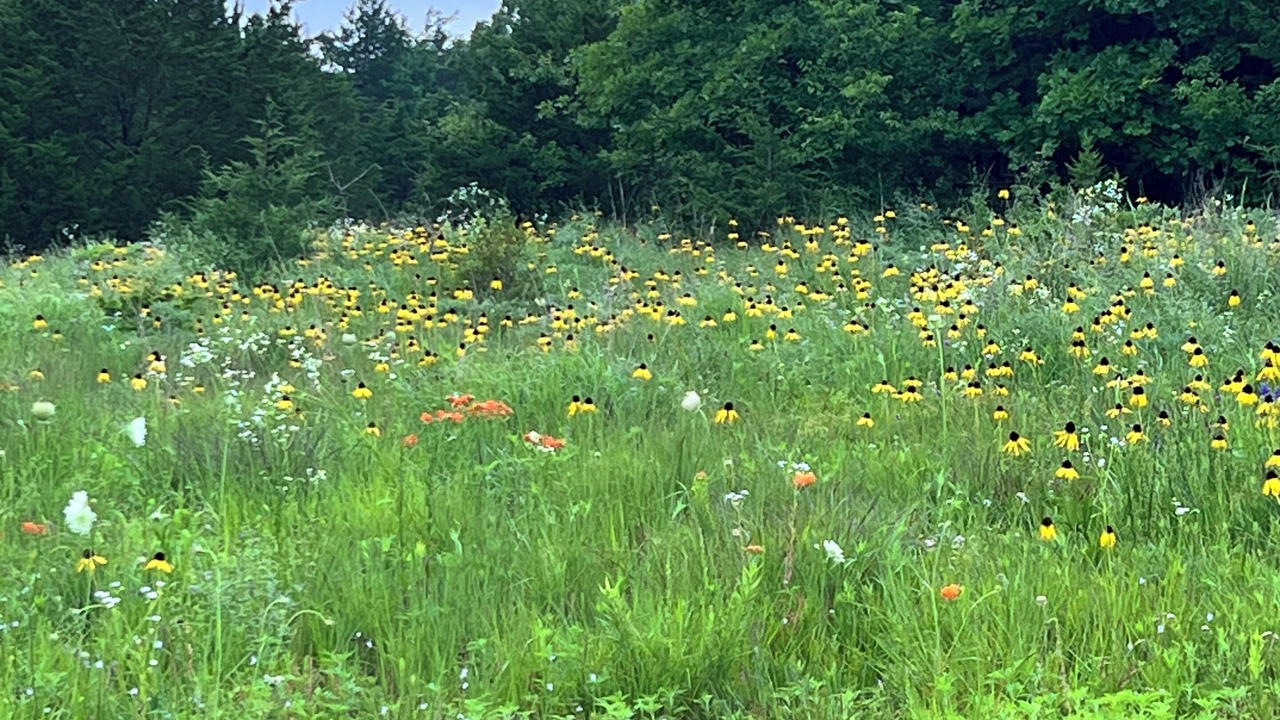 Photo of Outdoor in Flemington