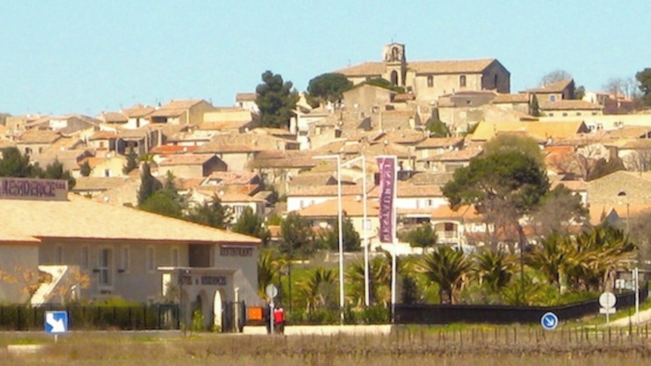 Photo of Others in Gallargues-le-Montueux