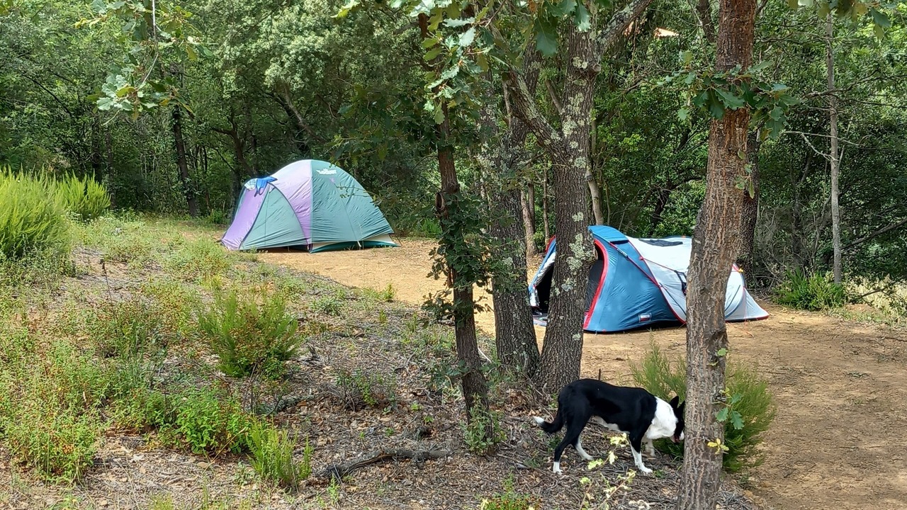 Photo of Outdoor in Boule-d'Amont
