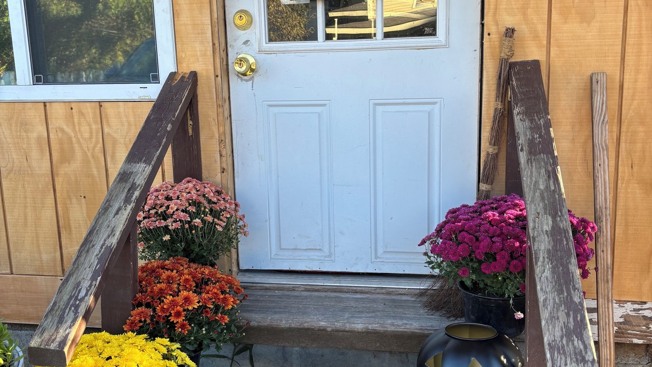 Photo of Outdoor in Brandon