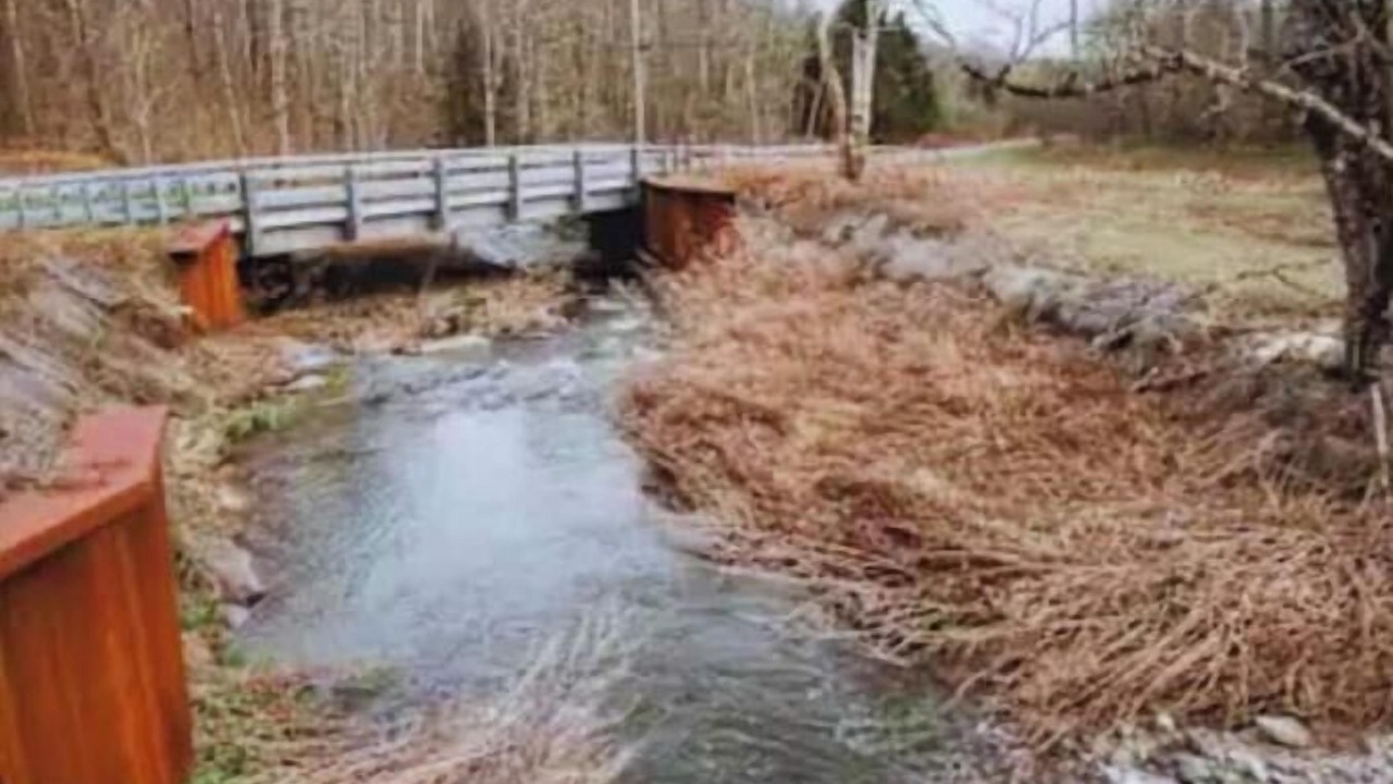 Photo of Others in Town of Colchester