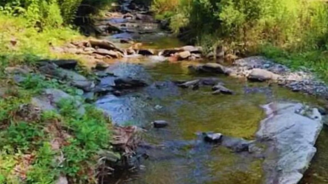 Photo of Others in Town of Colchester