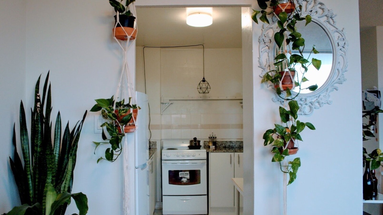 Photo of Kitchen in St. James Town
