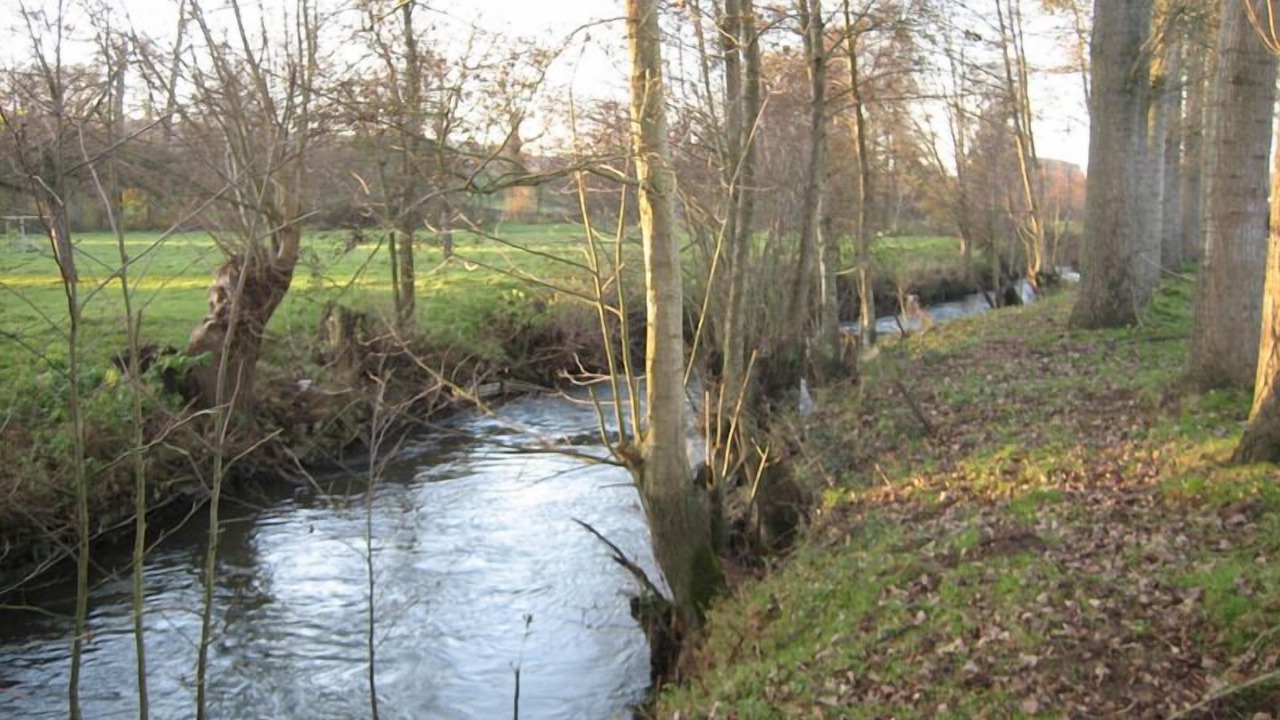 Photo of Others in Bures-en-Bray