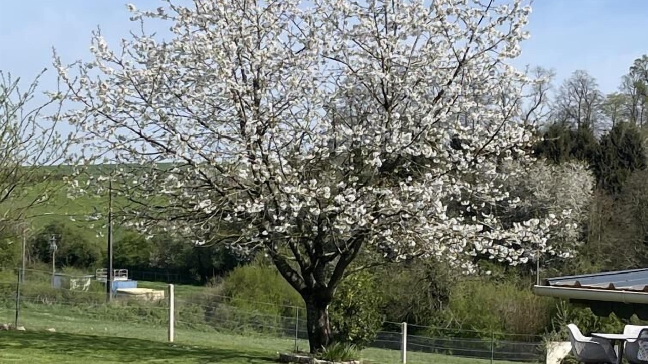 Photo of Outdoor in Saint-Victor-l'Abbaye