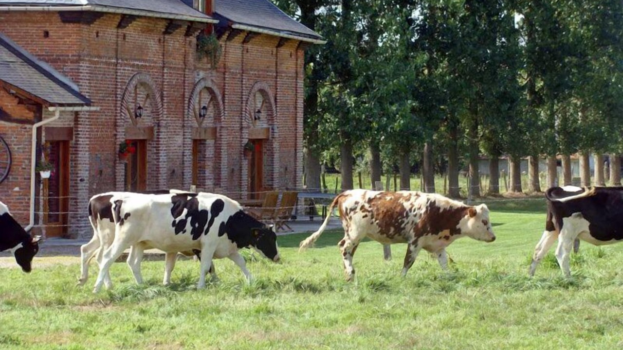 Photo of Others in Gonneville-sur-Scie