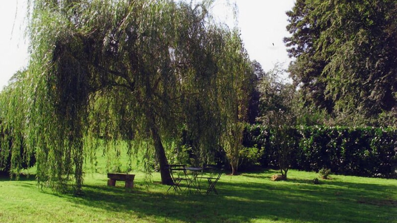 Photo of Outdoor in Varneville-Bretteville