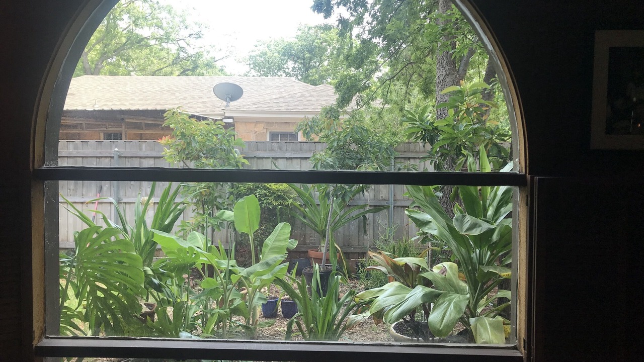 Photo of Others in Elmwood Area