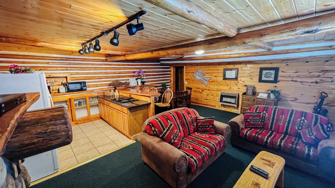 Photo of Livingroom in Last Chance