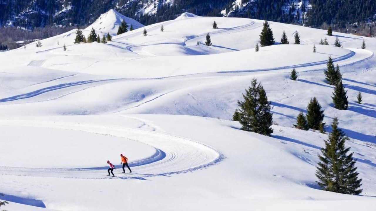 Photo of Others in Elkhorn