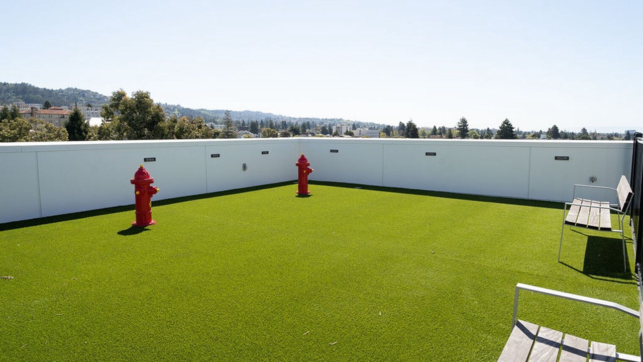 Photo of Outdoor in Downtown Berkeley