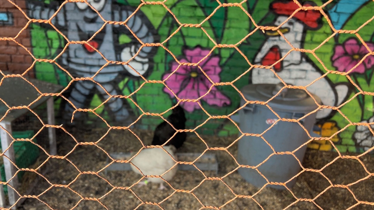 Photo of Others in Bousbecque