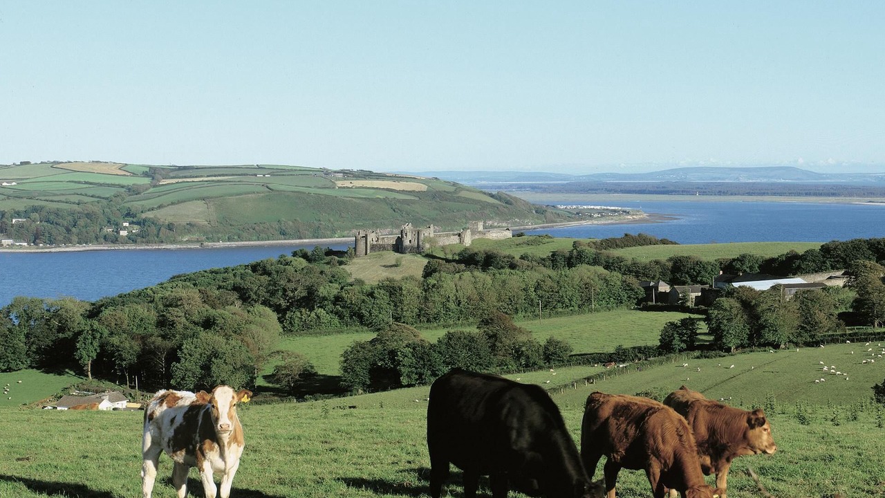 Photo of Others in Llangynog