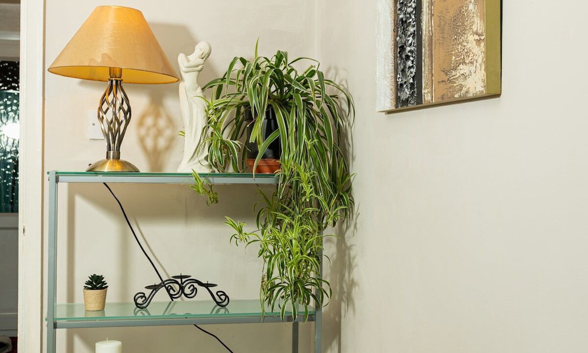 Photo of Bedroom in Warwick