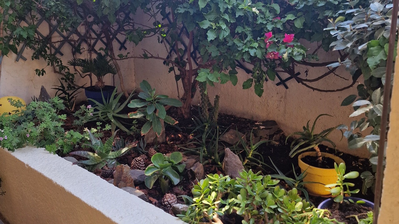 Photo of Outdoor in Cerbere