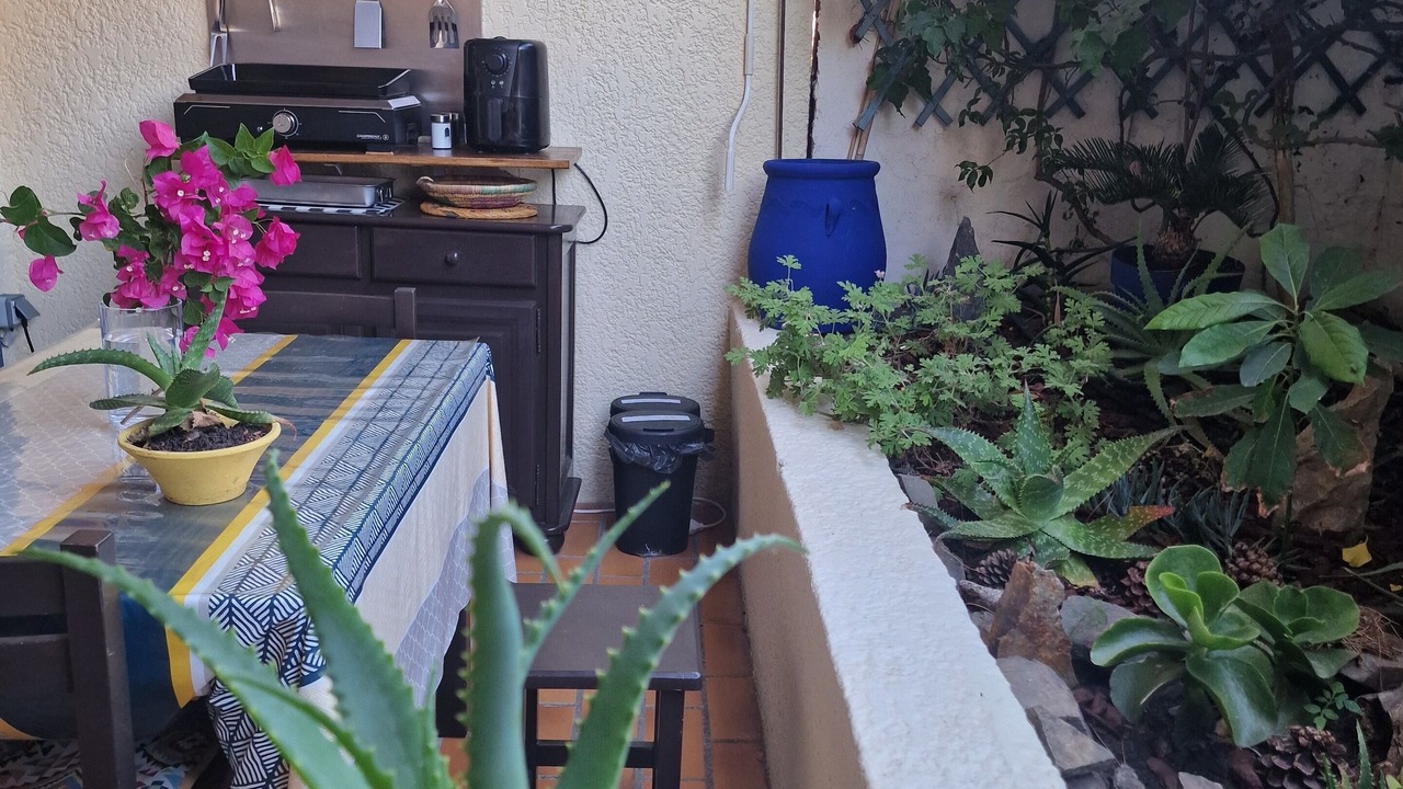 Photo of Outdoor in Cerbere