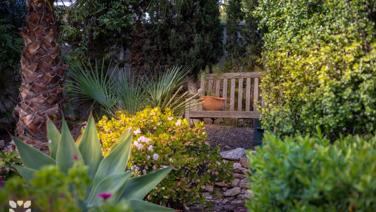 Photo of Outdoor in Moraira