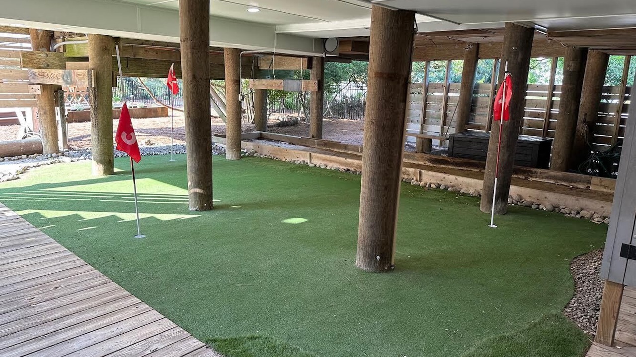 Photo of Others in North Shores