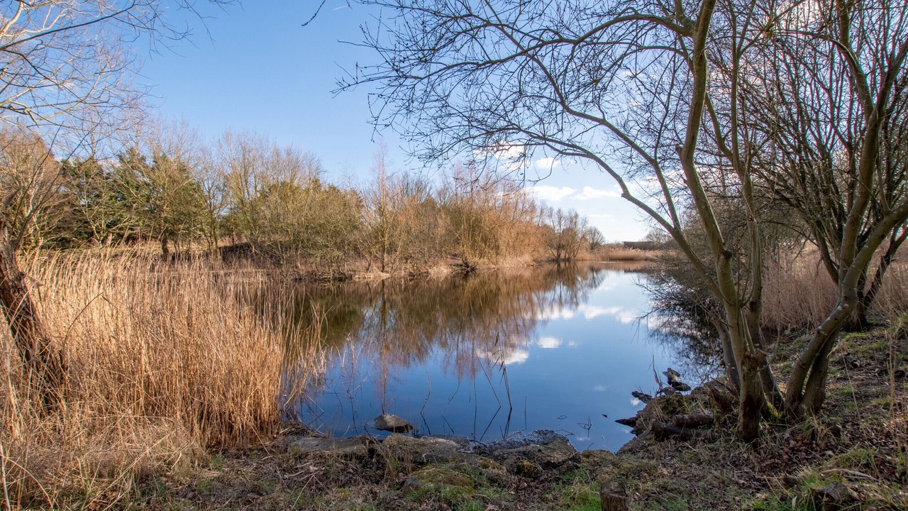 Photo of Others in Little Stukeley